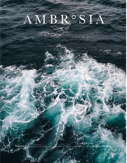 Ambrosia1-493x631.png